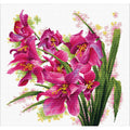 Bellissime orchidee