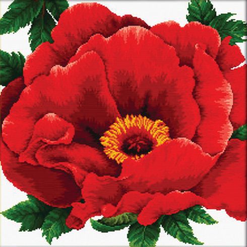 Fiore rosso