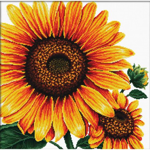 I girasoli