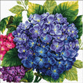 Fiori blu