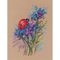 Coccinella