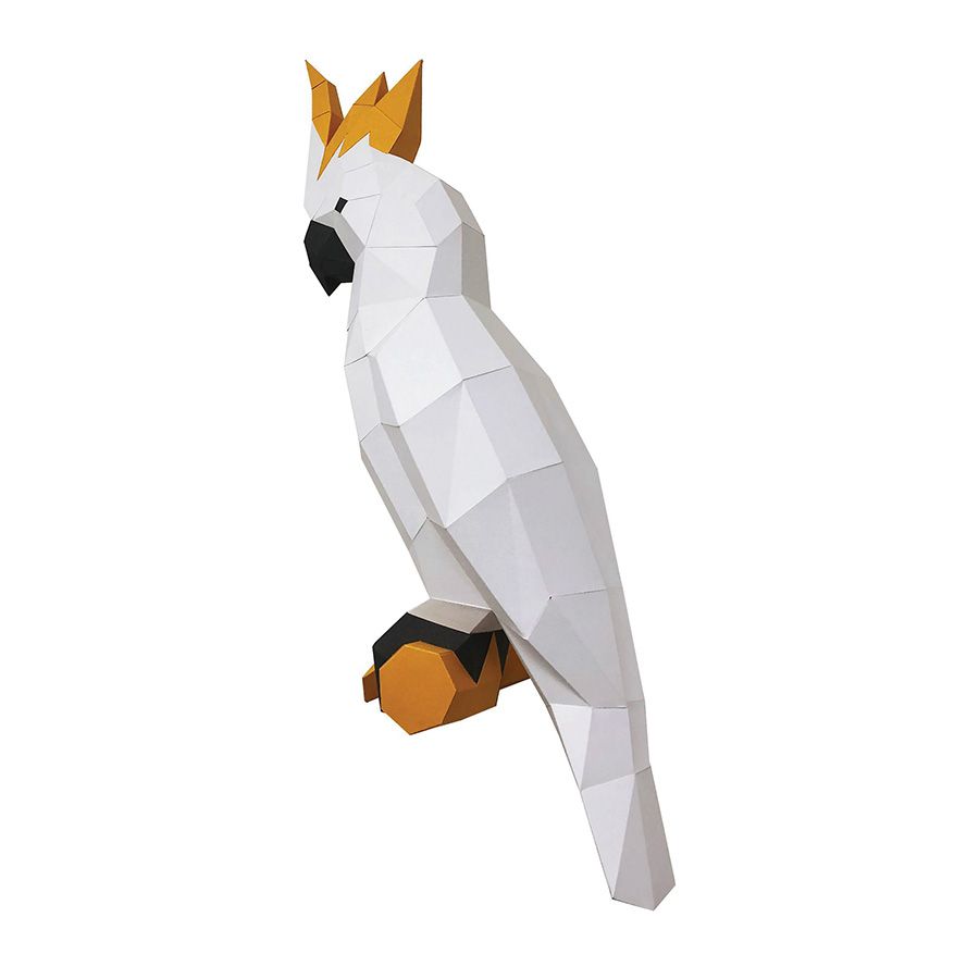 Cacatua