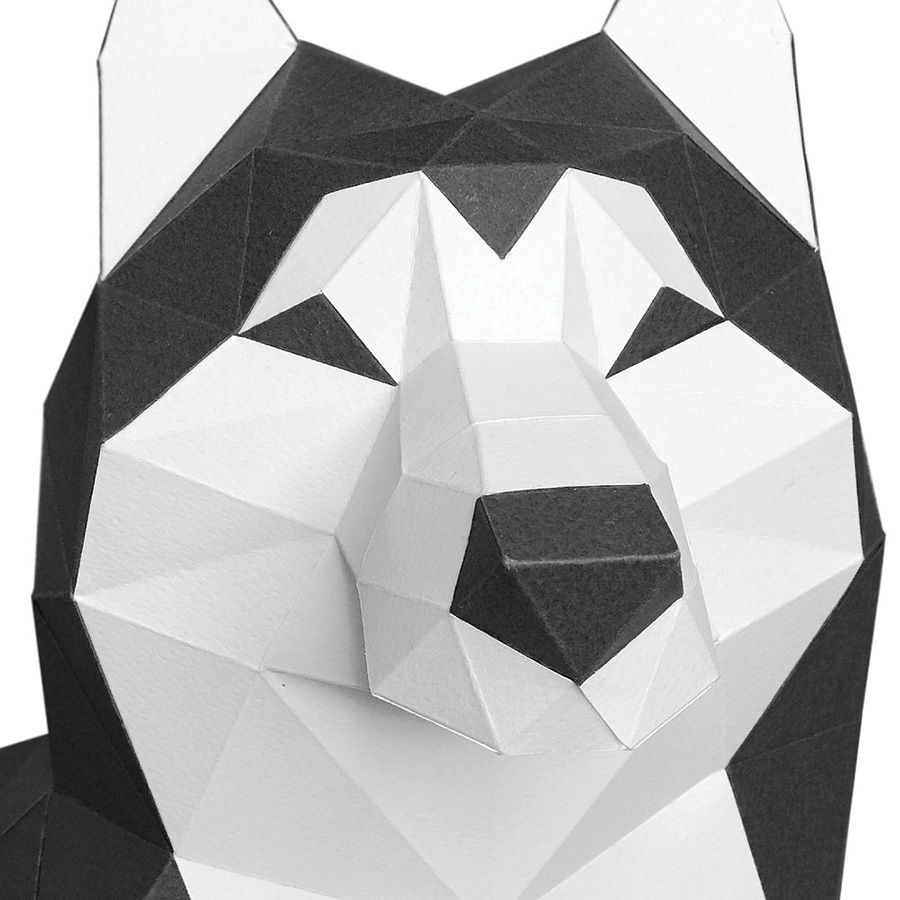 Husky