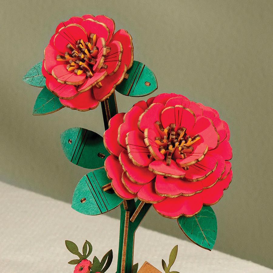 Camelia rossa
