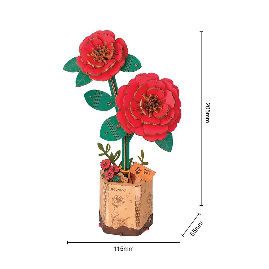 Camelia rossa