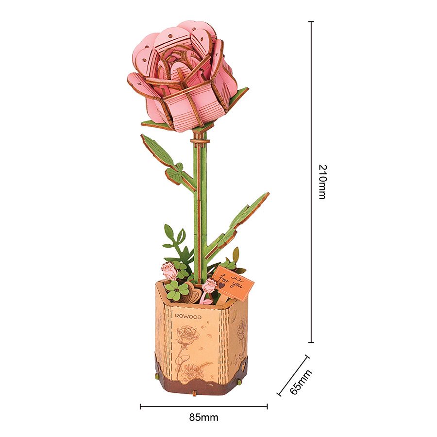 Rosa