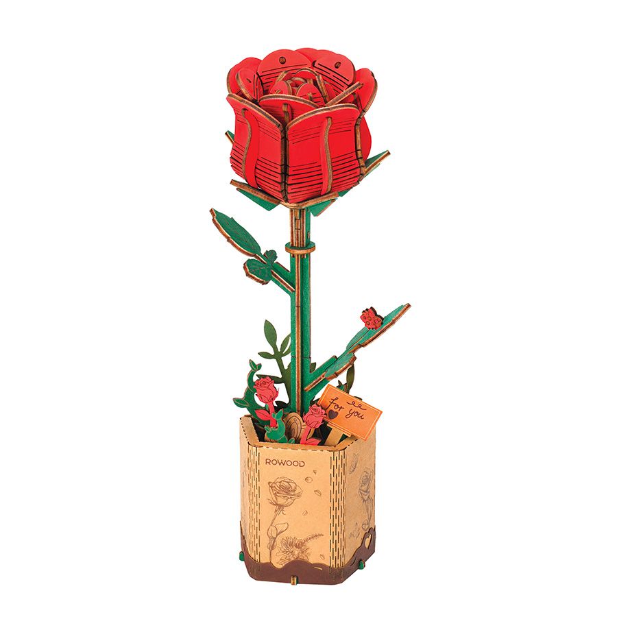 Rosa rossa