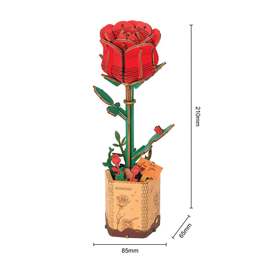Rosa rossa