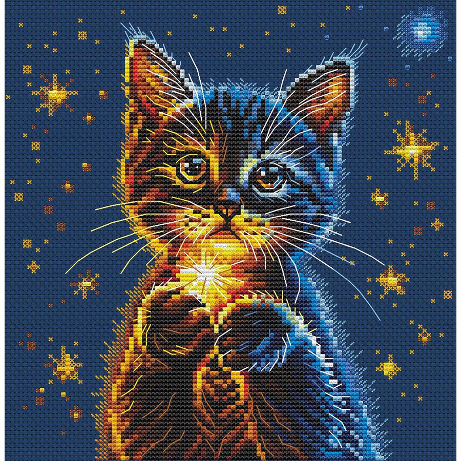 Le stelle segrete del gattino