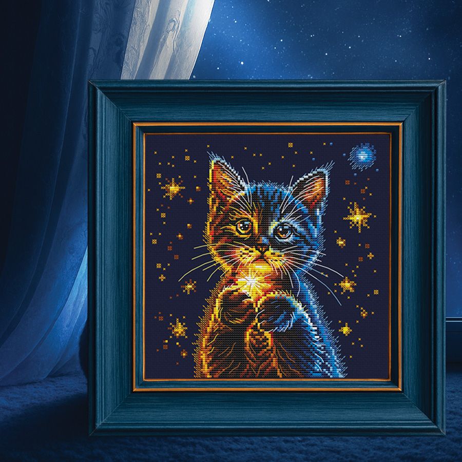 Le stelle segrete del gattino