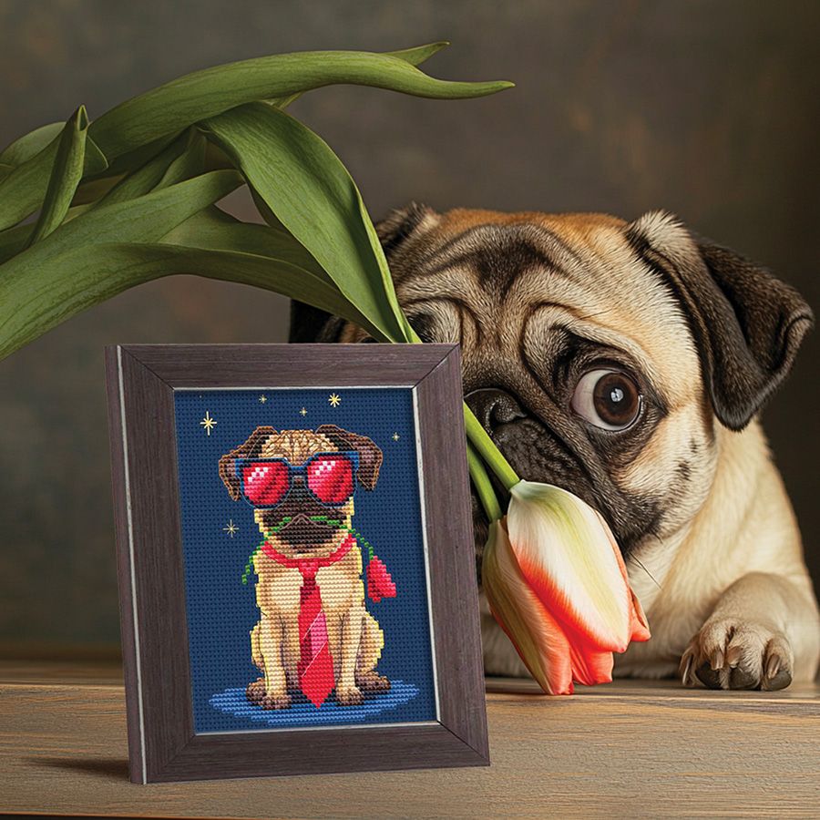 Carlino e la sua rosa