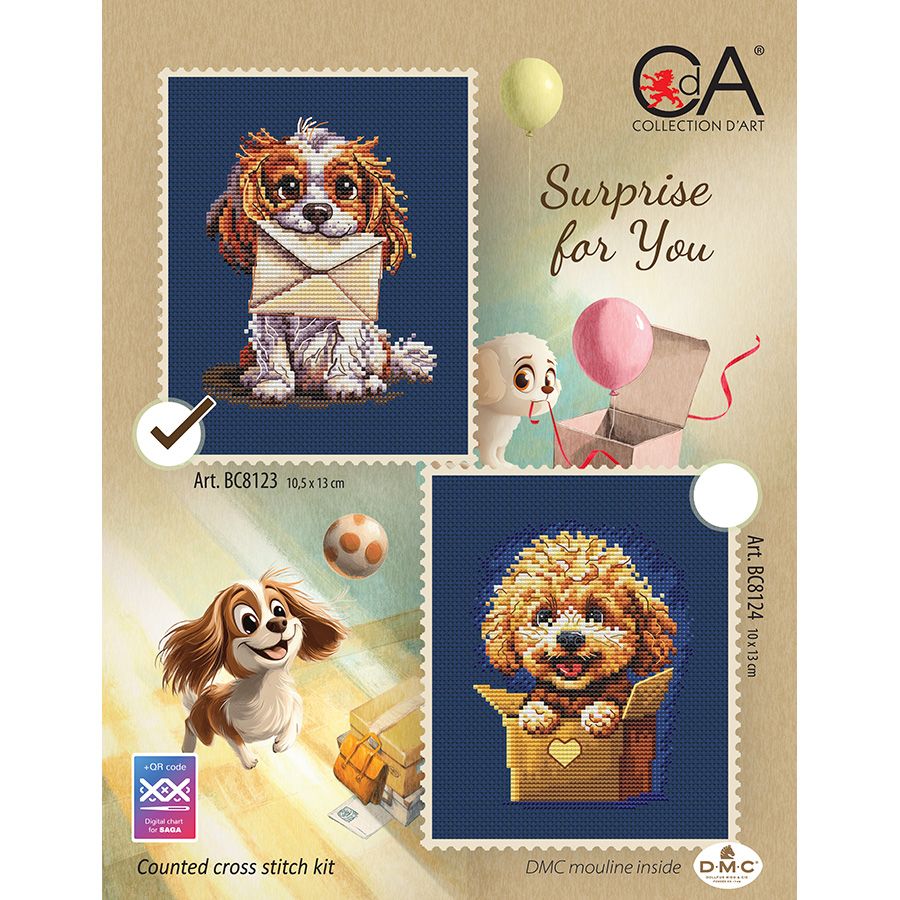 Sorpresa per te - Cavalier King Charles