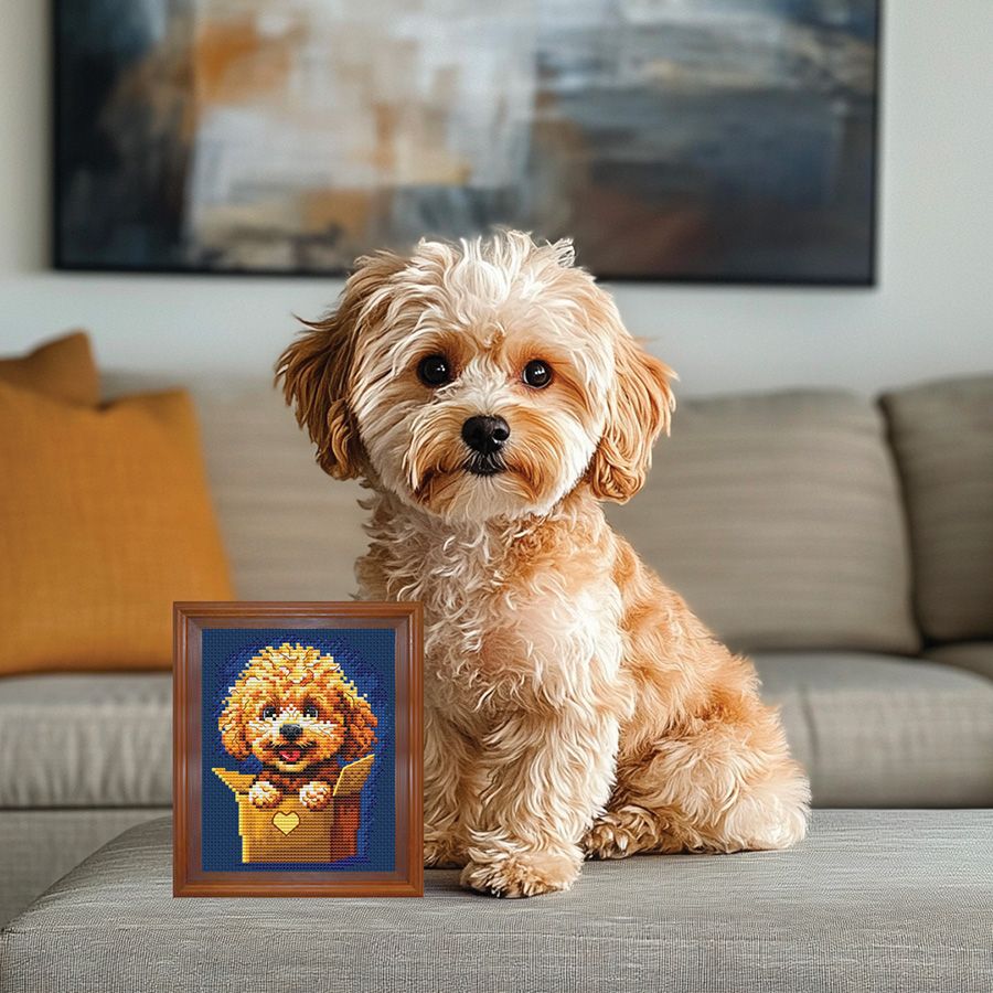 Sorpresa per te - Barboncino