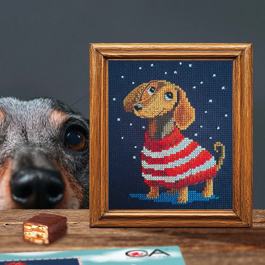 Avventurieri a strisce - Bassotto