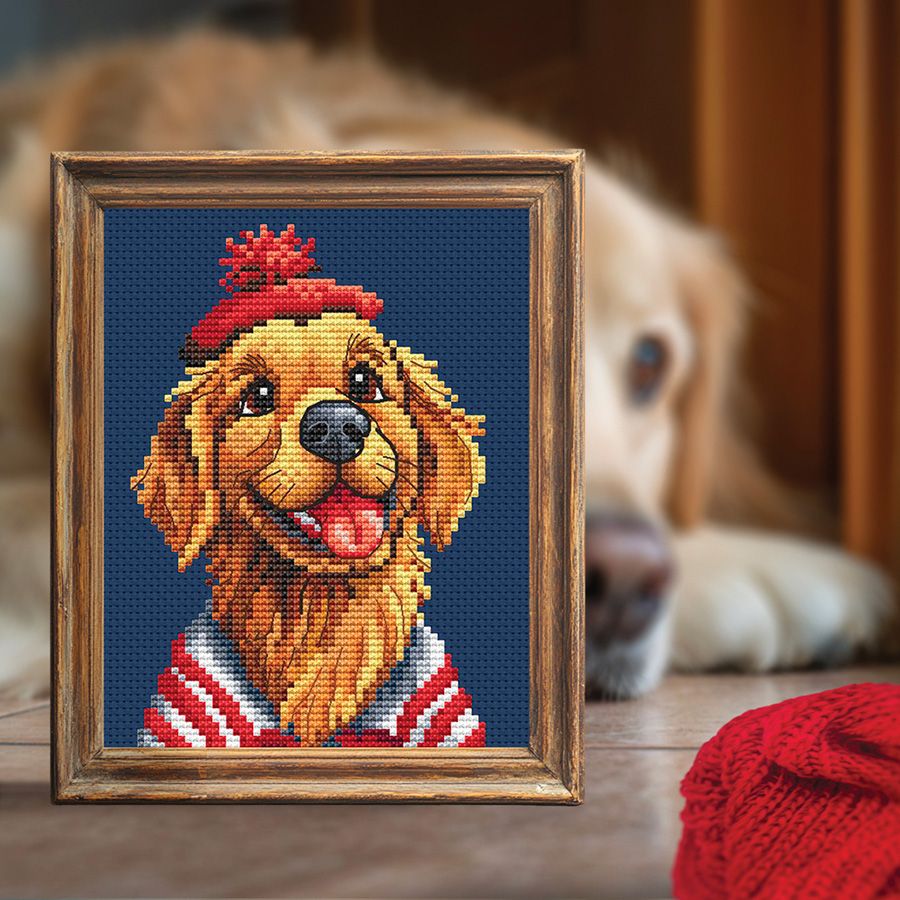 Avventurieri a strisce - Labrador