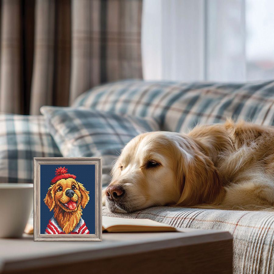 Avventurieri a strisce - Labrador