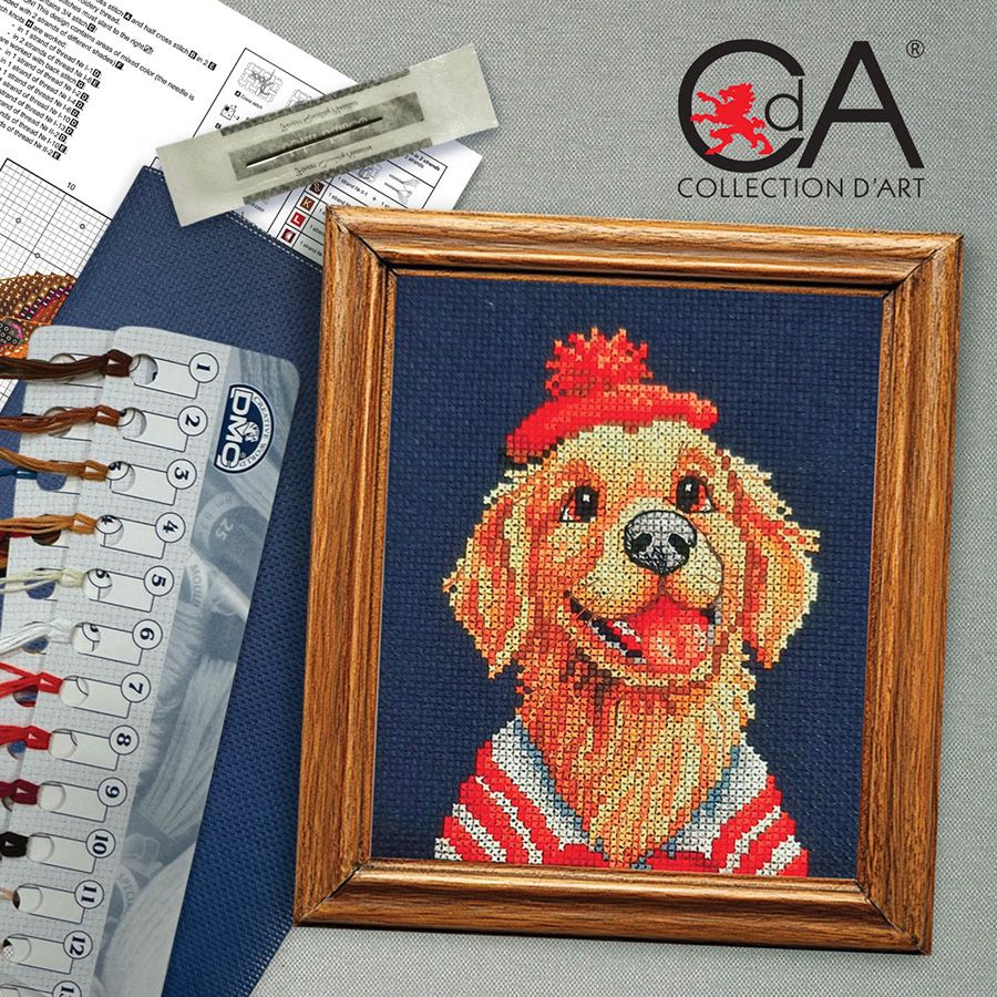 Avventurieri a strisce - Labrador