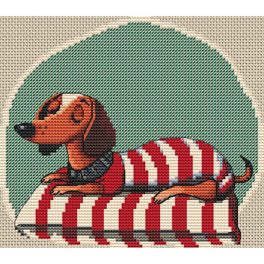 Forse non è un sogno...