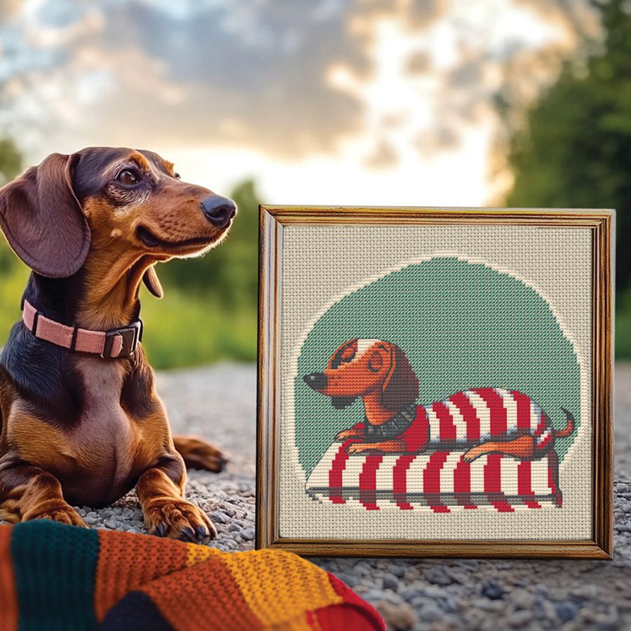 Forse non è un sogno...