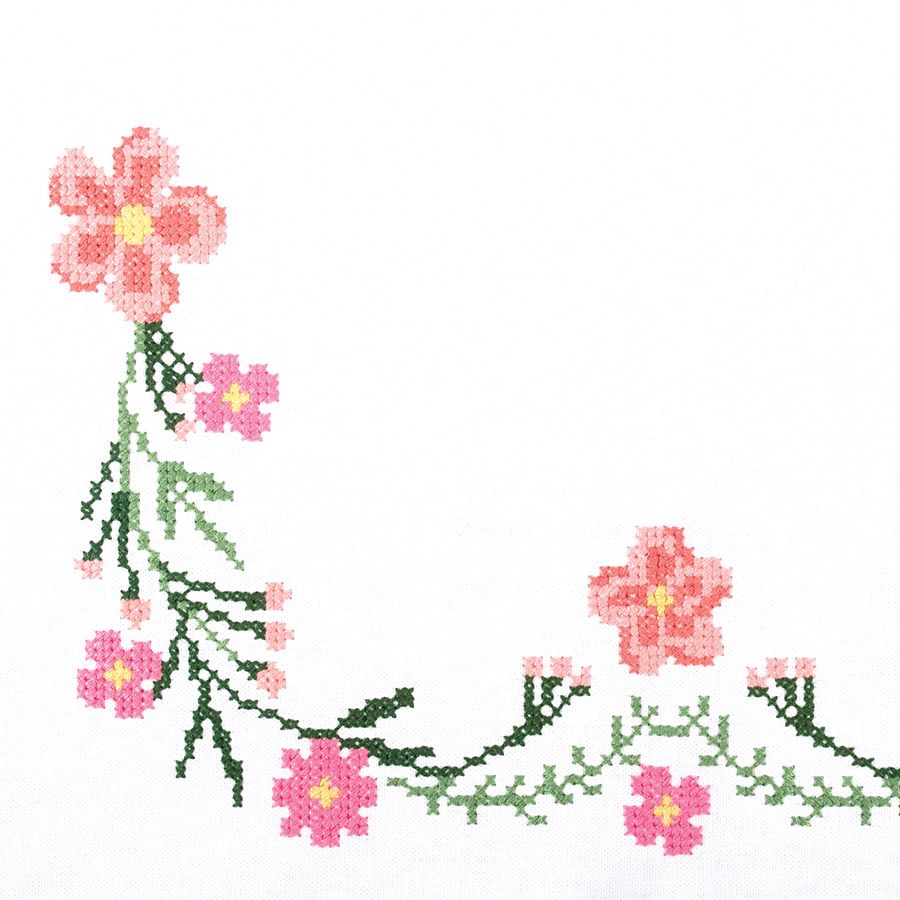 Margherite rosa