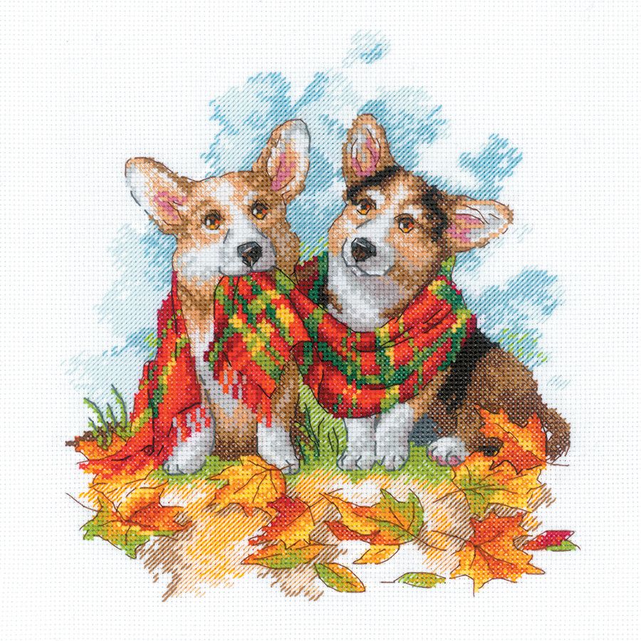 Corgi in autunno