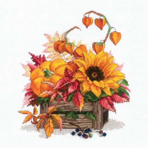 Zucca e girasole