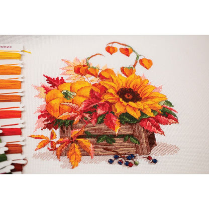 Zucca e girasole