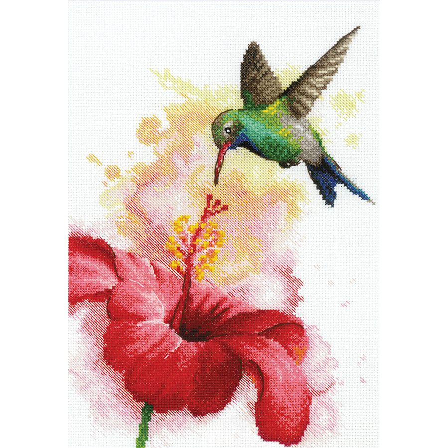 Colibrì