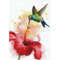 Colibrì