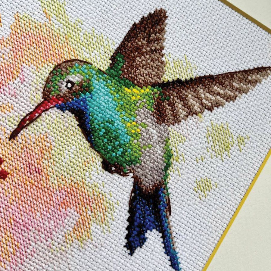 Colibrì
