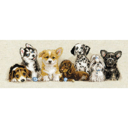 Cuccioli
