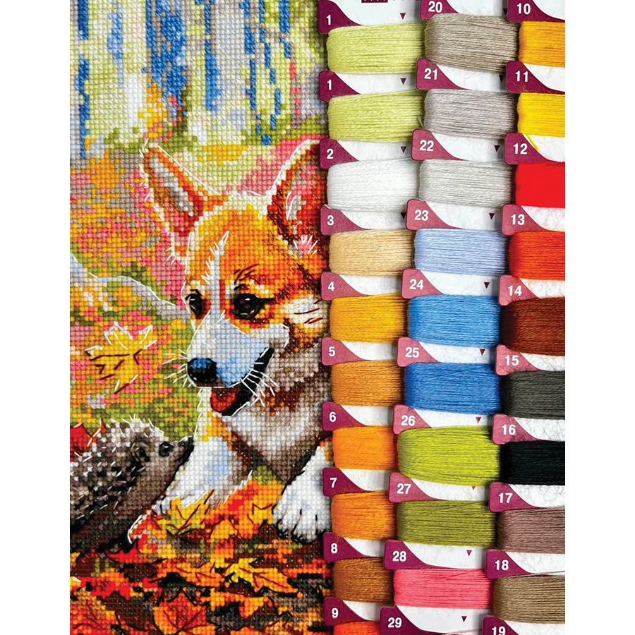 Incontro nella foresta