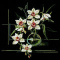 Fiori bianchi su sfondo nero