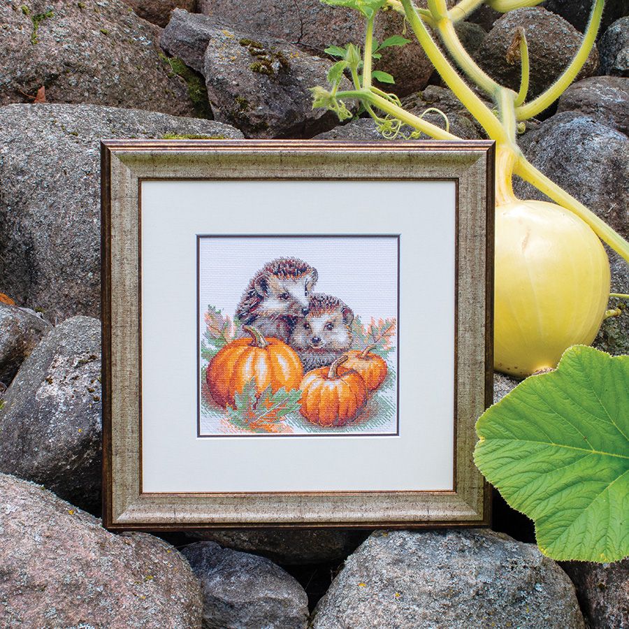 Ricci durante il raccolto