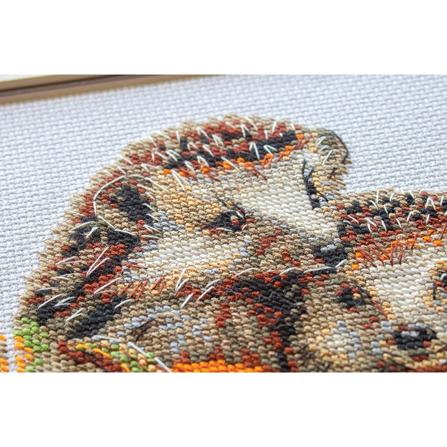 Ricci durante il raccolto