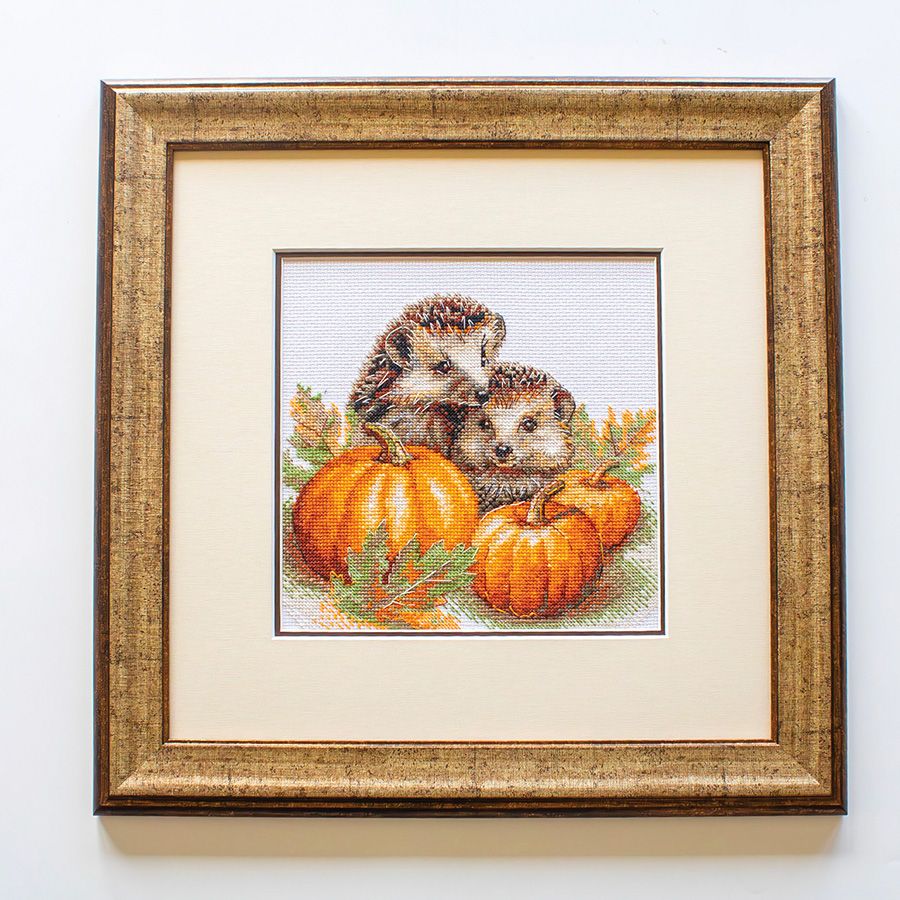 Ricci durante il raccolto