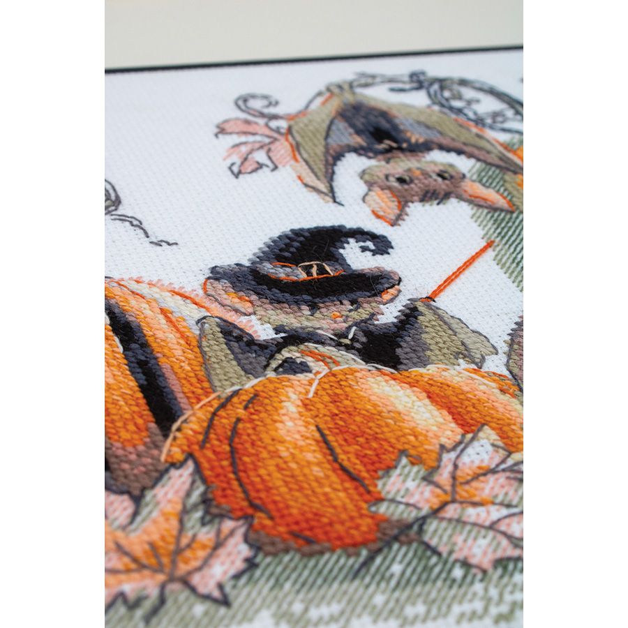 Festival dei pipistrelli