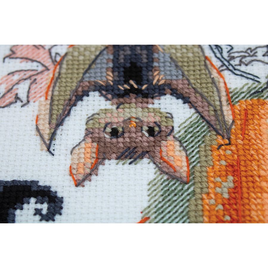 Festival dei pipistrelli