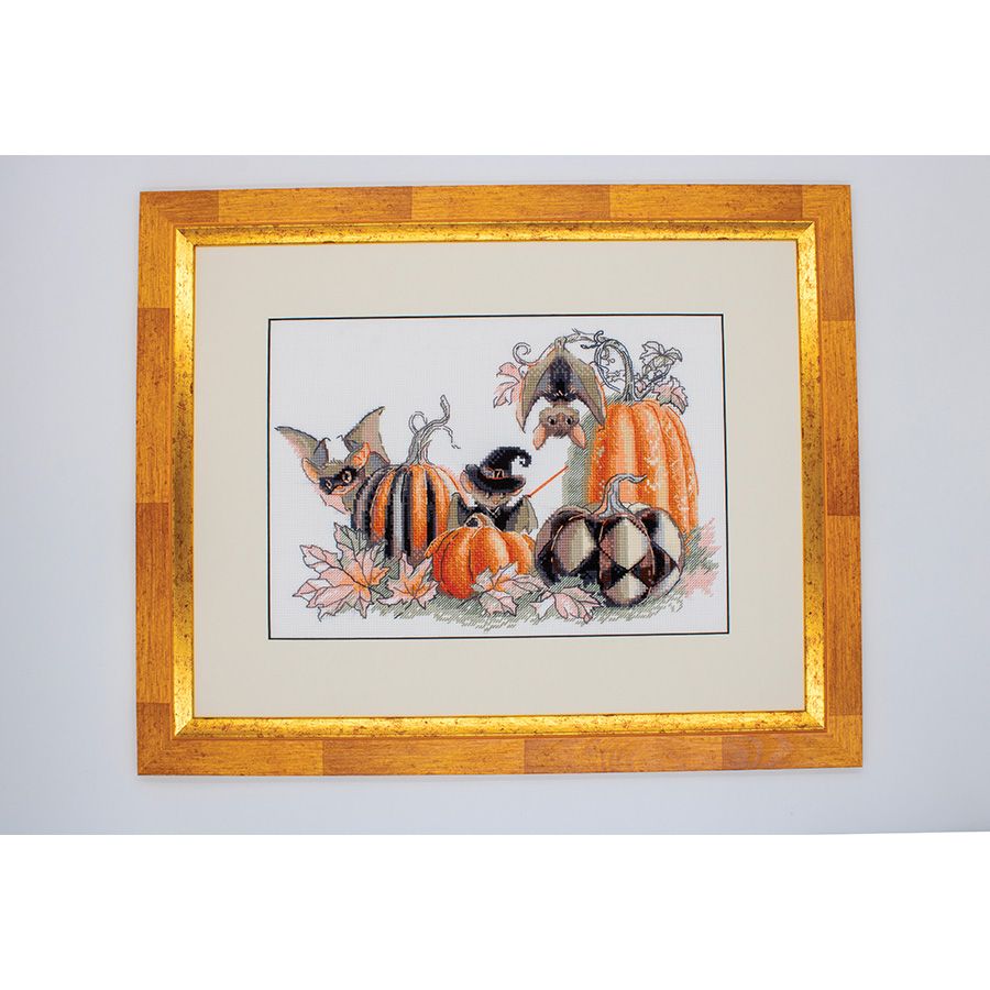 Festival dei pipistrelli