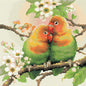Inseparabile