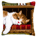 Gatto nella libreria