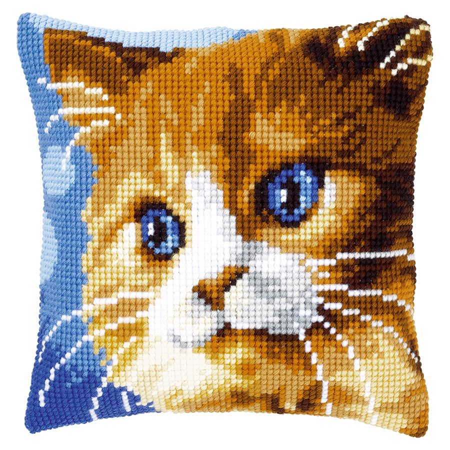 Gatto con occhi blu