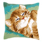 Gatto dormiente