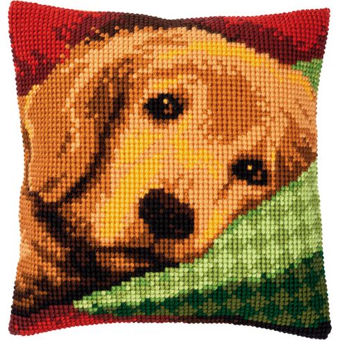 Golden Retriever sul cuscino