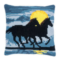 Cavalli al tramonto