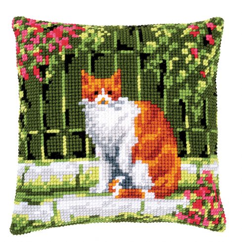 Gatto arancione