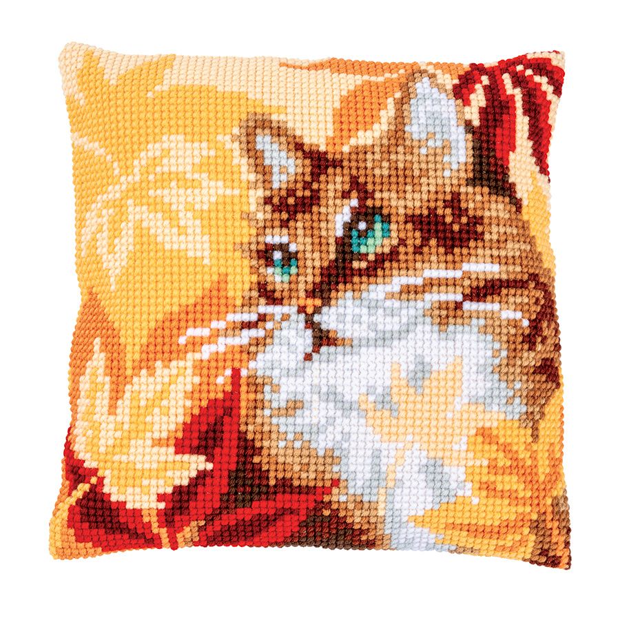 Gatto in autunno