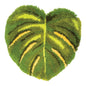 Foglia verde