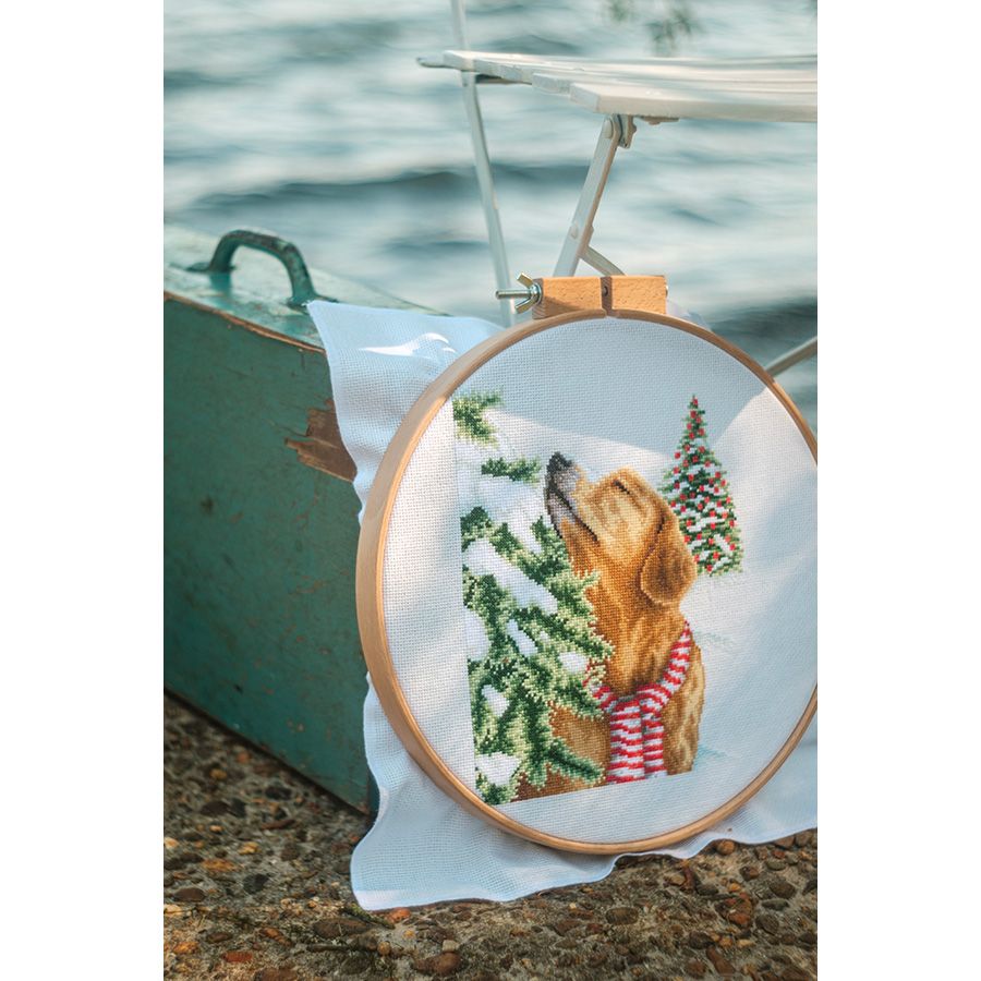 Cane in un paesaggio natalizio