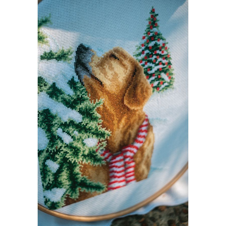 Cane in un paesaggio natalizio